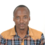 Experienced Article Writer