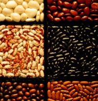 Diversity-1