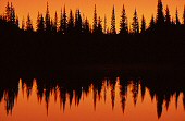 Trees and lake at sunset, Mt. Rainier, photograph copyright Brent VanFossen not for use without permission