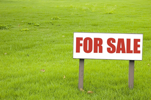 Auction-For-Sale