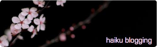 haiku blogging haiku blogging