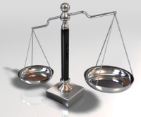 There are pros and cons to hiring an outside web consultant.