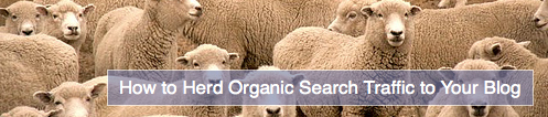 herd search engine traffic
