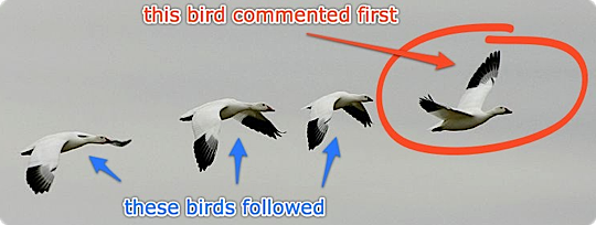comment-leader.png