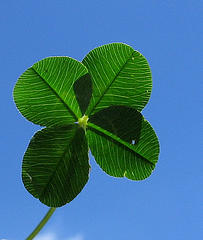 Luck