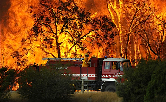 bushfire