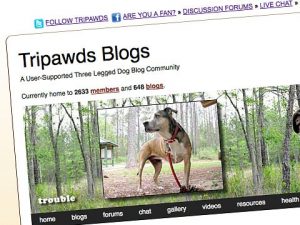 tripawds-site Tactical Tips for Building an Online Community