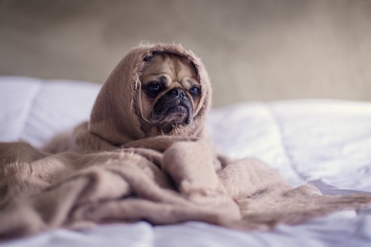 My 6 Best Tips for Beating Blogger Overwhelm | ProBlogger.net