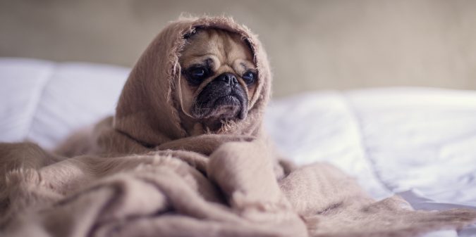 My 6 Best Tips for Beating Blogger Overwhelm | ProBlogger.net
