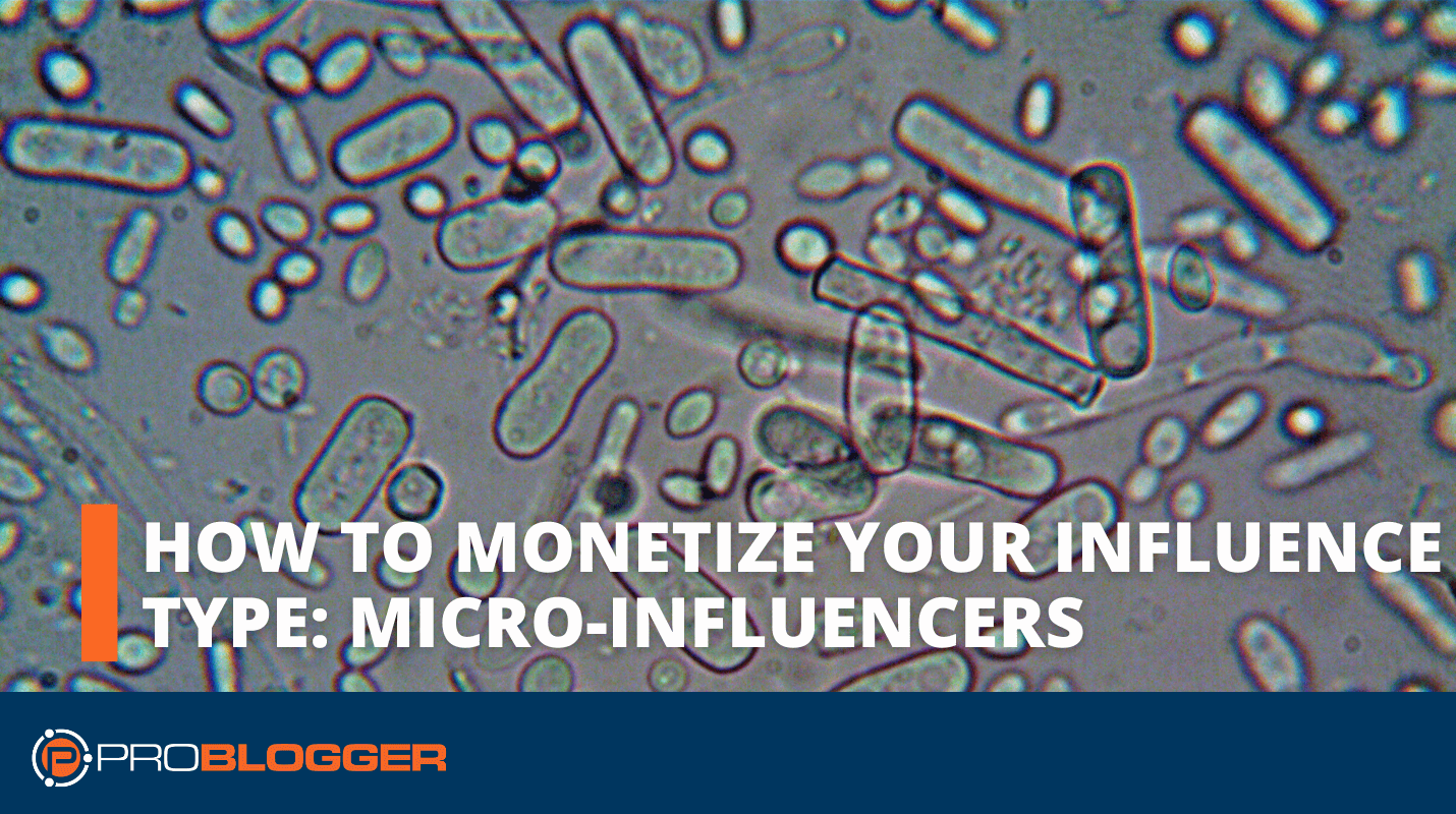 How to Monetize Your Influence Type Micro influencers 2