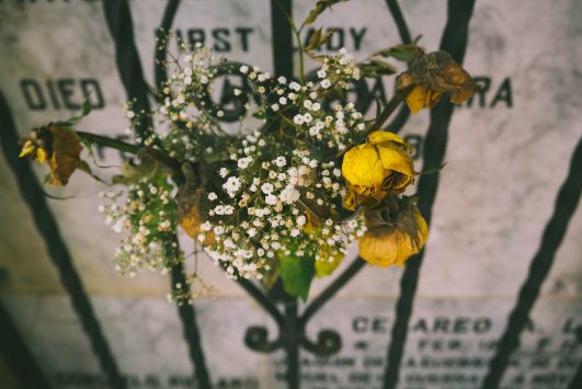 Has Google’s ‘Fred’ Update Left Your Rankings Dead? | ProBlogger.com