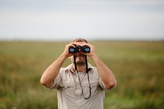Bloggers to Watch in 2017