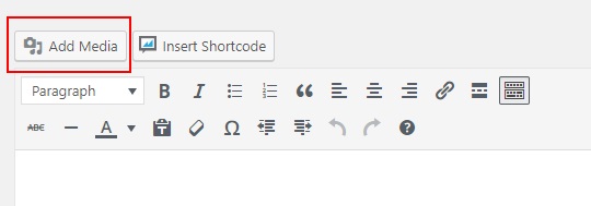 Add Media button