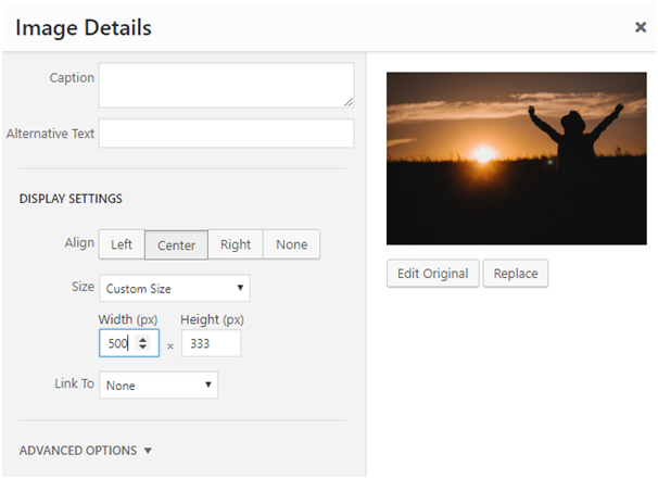 Everything You Need to Know About Inserting and Editing Images in WordPress