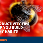 Six Productivity Tips to Help You Build Healthy Habits